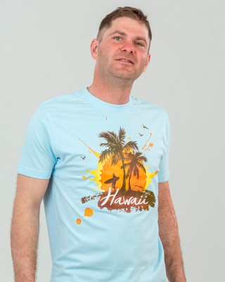 Футболка чоловіча Hawaii блакитна - 2134011 Футболка чоловіча Hawaii блакитна - 2134011