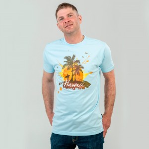 Футболка чоловіча Hawaii блакитна - 2134011 Футболка чоловіча Hawaii блакитна - 2134011