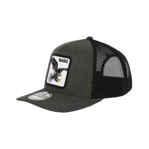 Кепка сіра з шевроном Орел - SH2026.7/9