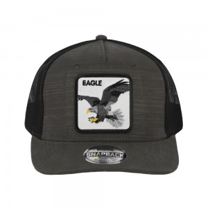 Кепка сіра з шевроном Орел - SH2026.7/9